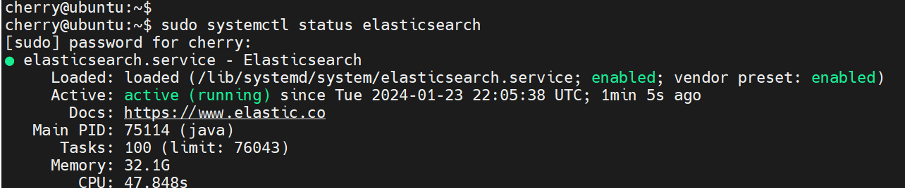 check-elasticsearch-status-ubuntu-22.04
