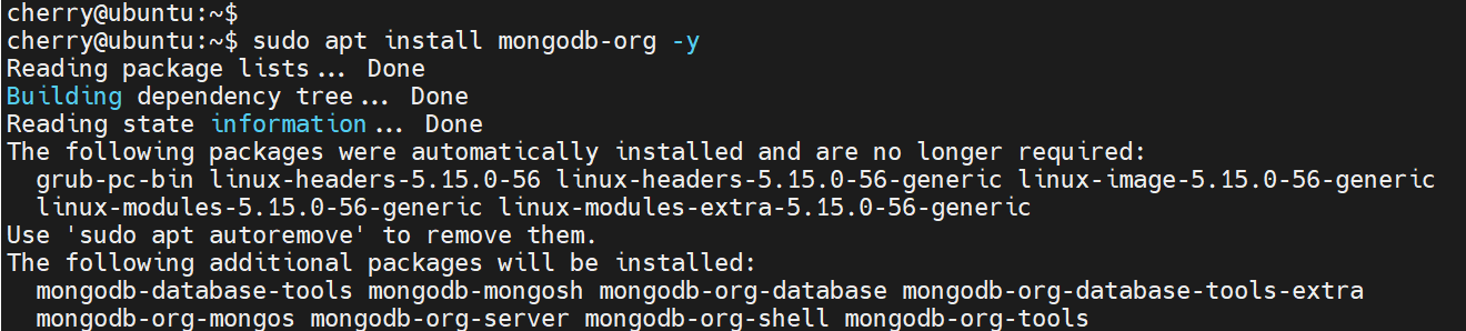 install-mongodb-server-ubuntu-22.04
