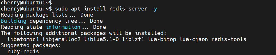 install-redis-server-ubuntu-22.04