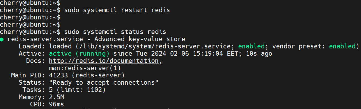 restart-and-check-redis-status