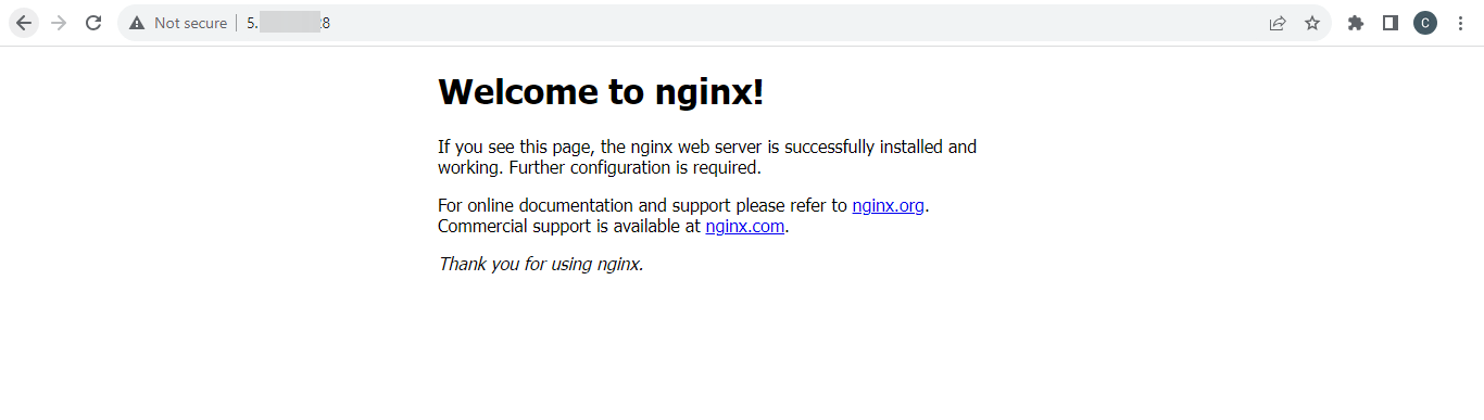 Confirm Ngin installation