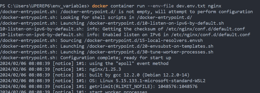 docker run --env-file <env_file_name> <imageName>