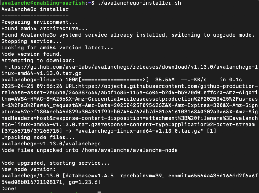 start avalanche node