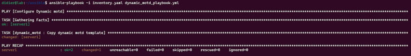 ansible-playbook