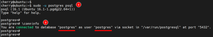 check-postgresql-connection-information