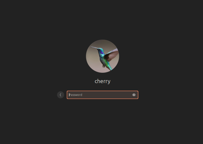 ubuntu-24.04-login-avatar