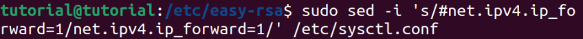 enabling ip forwarding