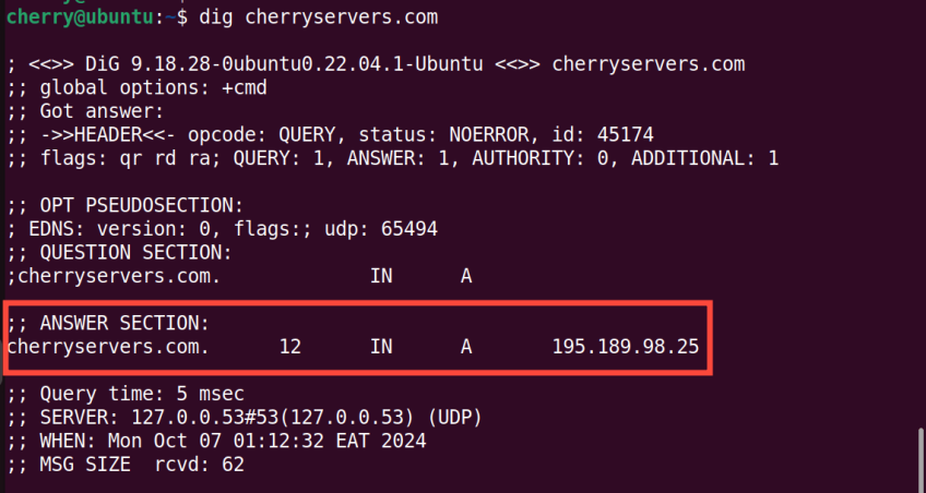 dig-command-domain-name