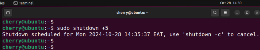 shutdown-linux-system-after-m-minutes