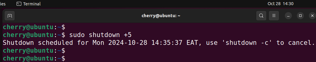 shutdown-linux-system-after-m-minutes