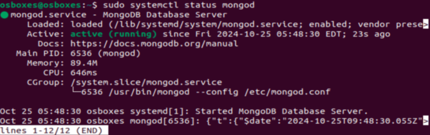 Check mongodb status