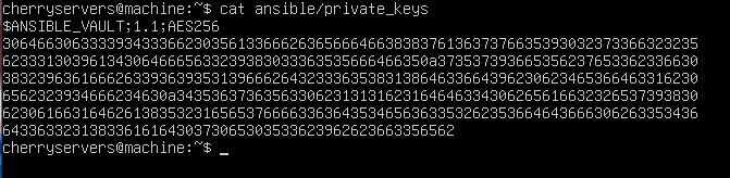 encrypted file with ansible vault