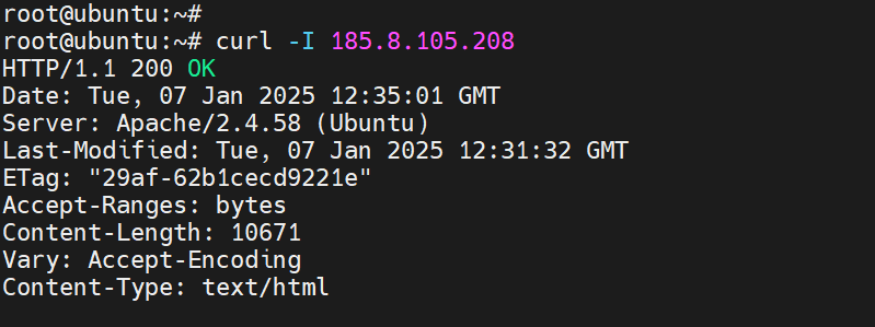 Web server status output