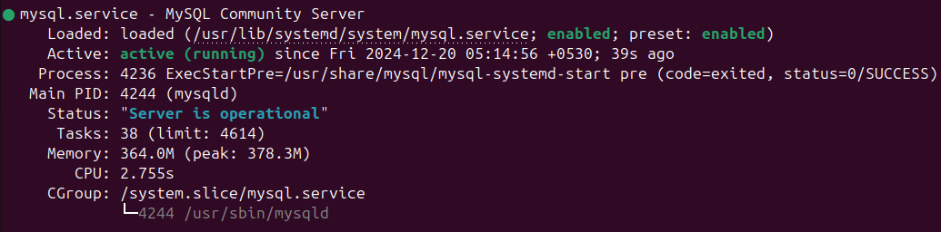 Database service status output
