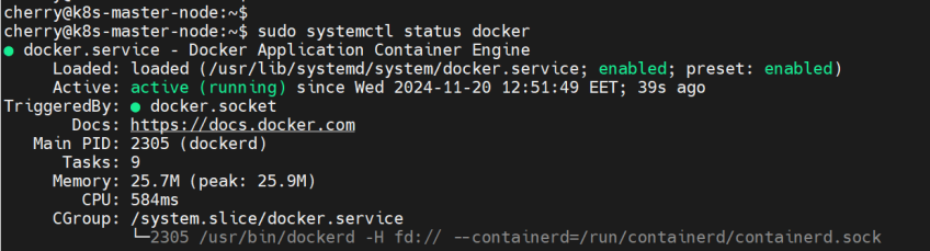 check-docker-status-ubuntu-24