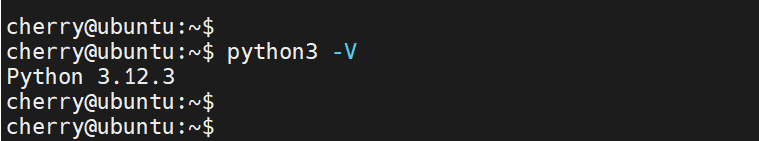 检查 Python 版本