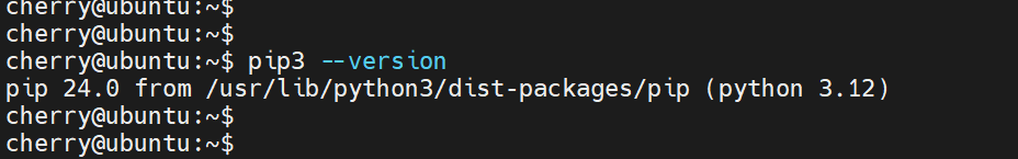 check-pip-version-ubuntu-24