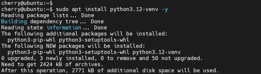 安装-python-虚拟环境-ubuntu-24