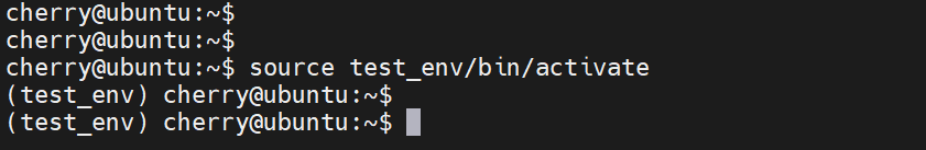 activatel-python-虚拟环境-ubuntu-24