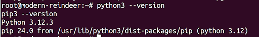 python 版本