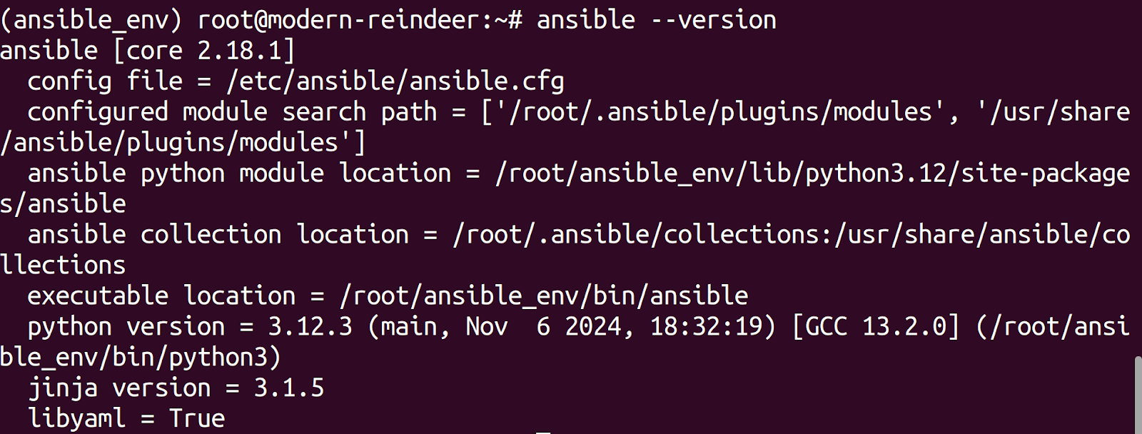 ansible version in python virtual environment
