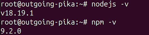 node 和 npm 的版本