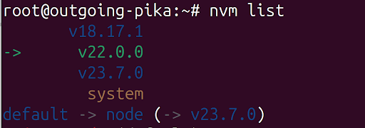 npm version list