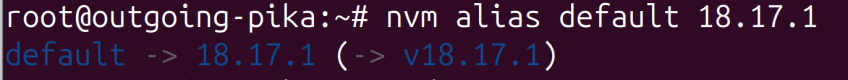 默认 npm 版本正在运行