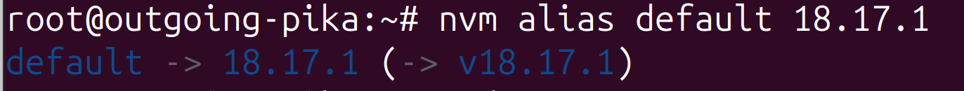 default npm version running
