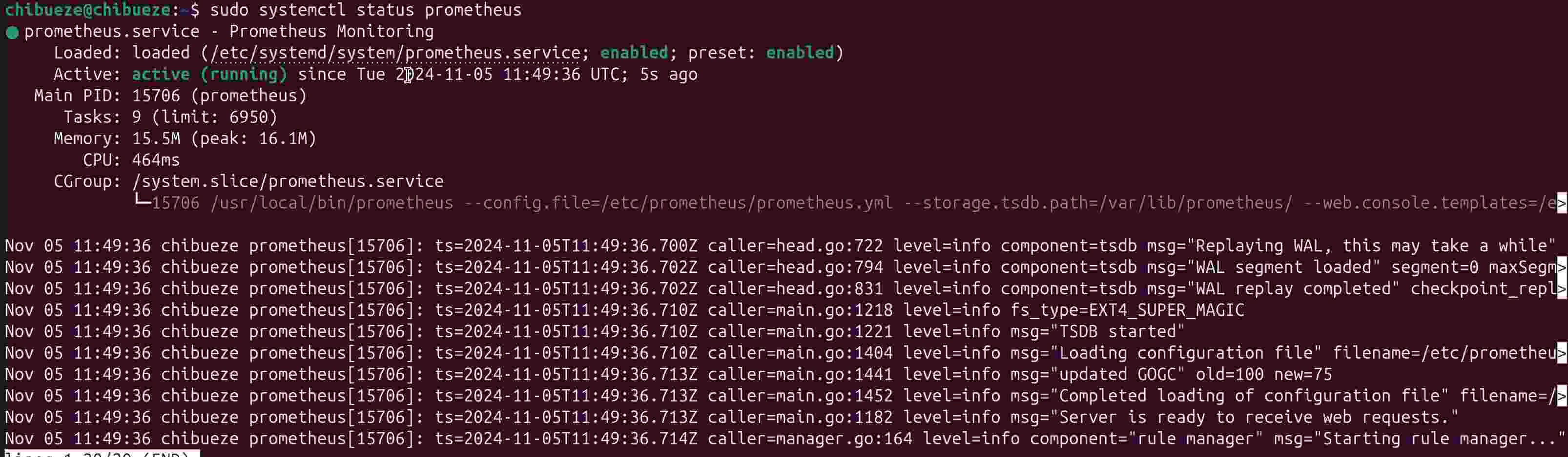 Check Prometheus status