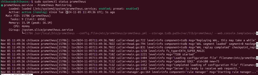 Check Prometheus status