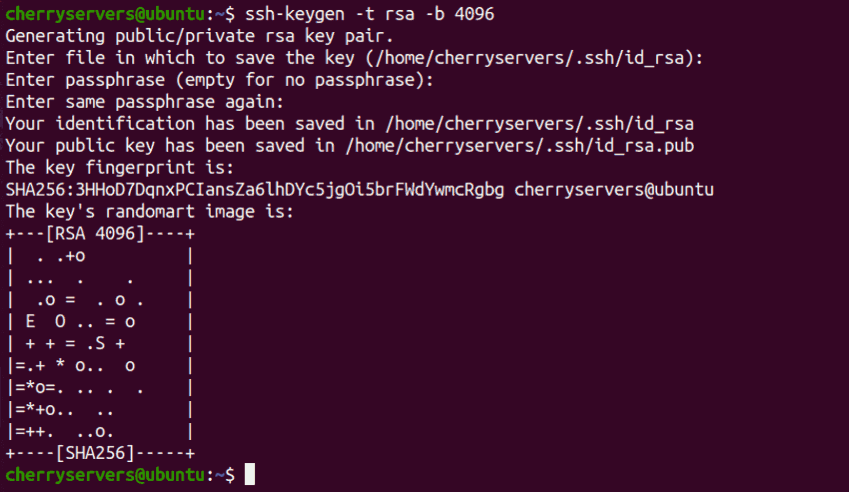 Generate an RSA keypair
