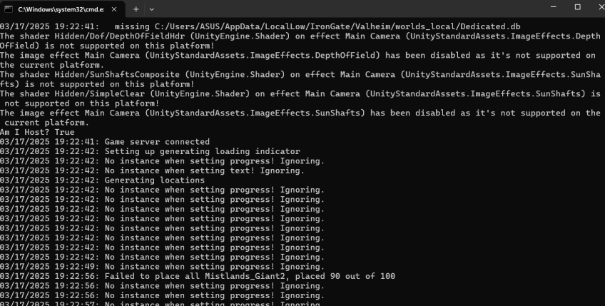 logs of starting valheim server