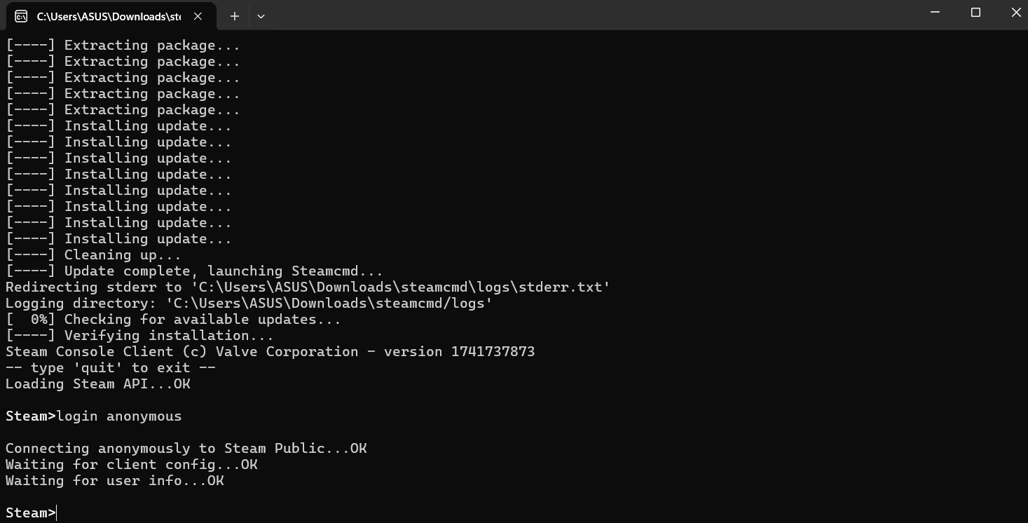 steam cmd connection status