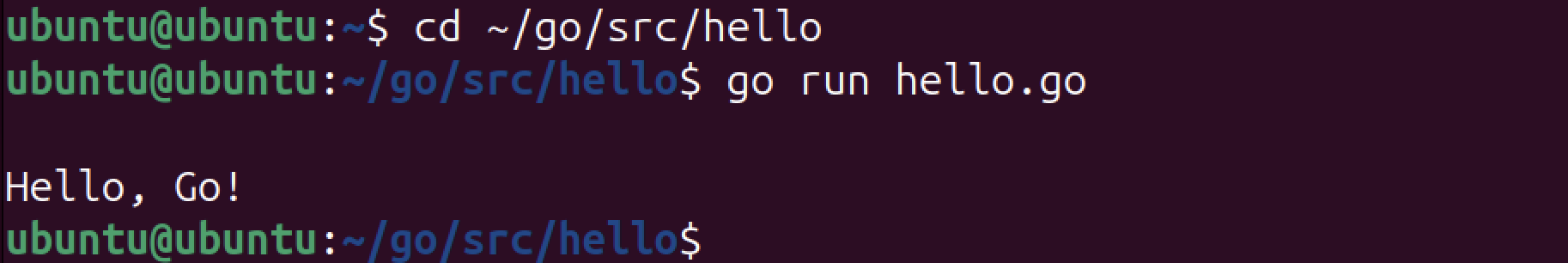 Running go program