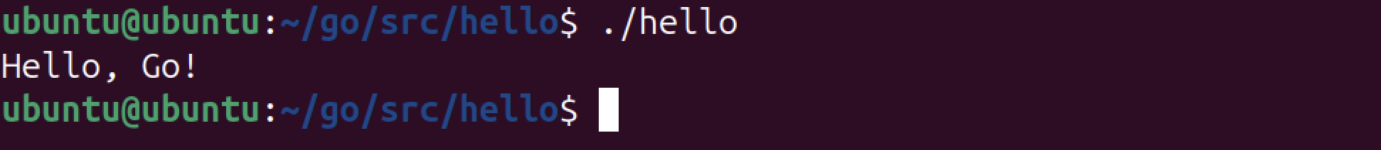 Running go build executable