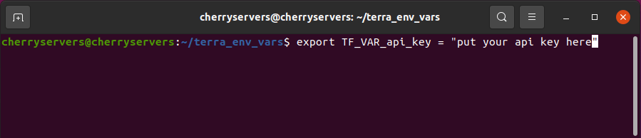 how to use environment variables in terraform