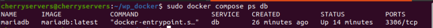 how to find information about a specific service in docker compose