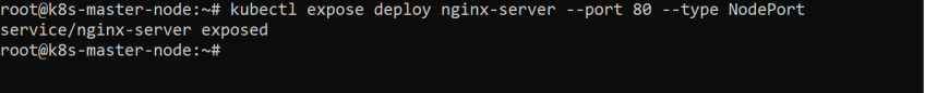 Expose the Nginx application
