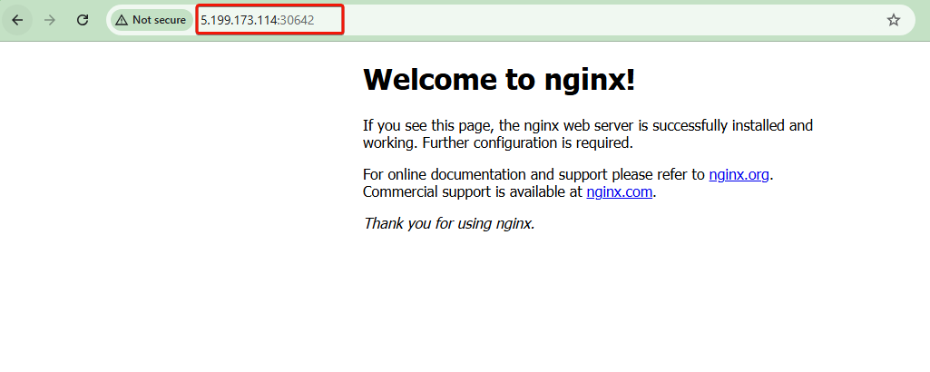 Acces the deployed Nginx application vis a browser