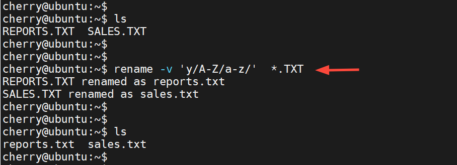 mv-command-convert-uppercase-to-lowercase-characters