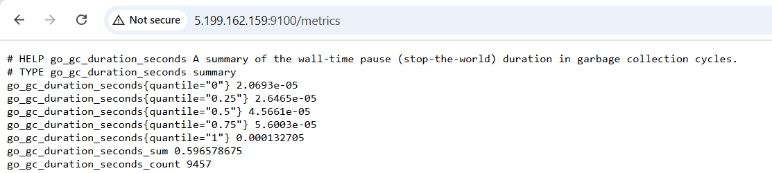 check-prometheus-raw-metrics-port-9100-browser