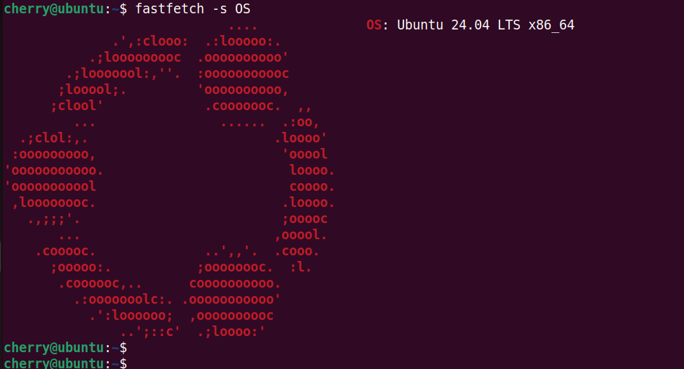 fastfetch-command-view-os-distro