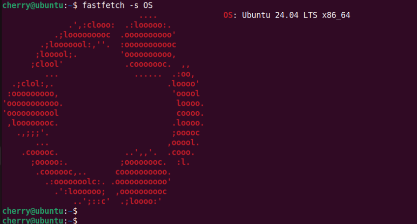 fastfetch-command-view-os-distro