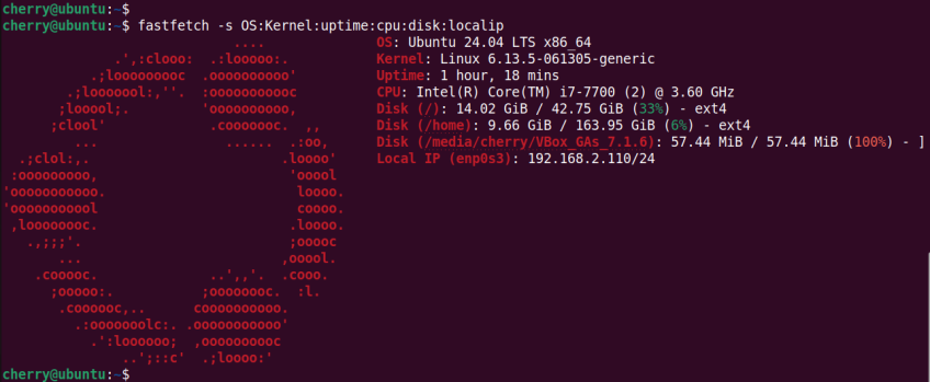 fastfetch-command-view-os-information