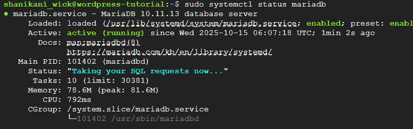 check mariadb status