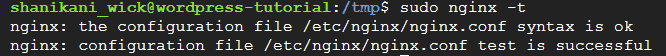 check nginx configuration