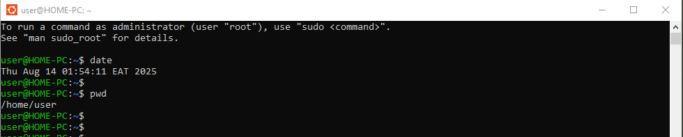 ubuntu-wsl-terminal-cli-interface