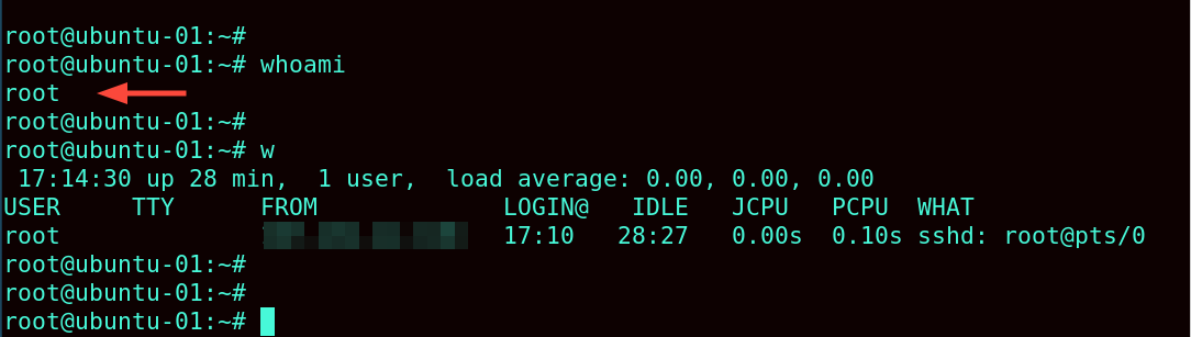 check-currently-logged-in-vps-users