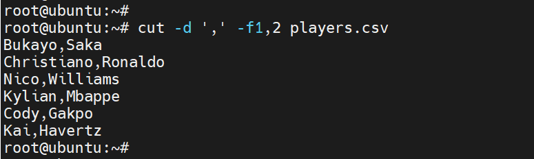 cut-command-display-first-two-columns-of-a-file